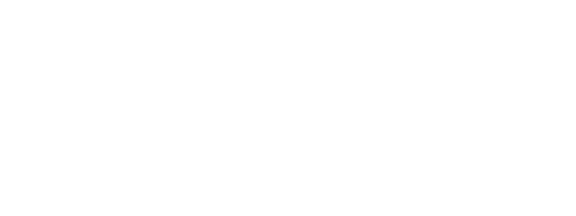 Flow Blockchain Logo